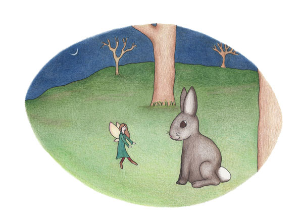fairy and rabbit illustration