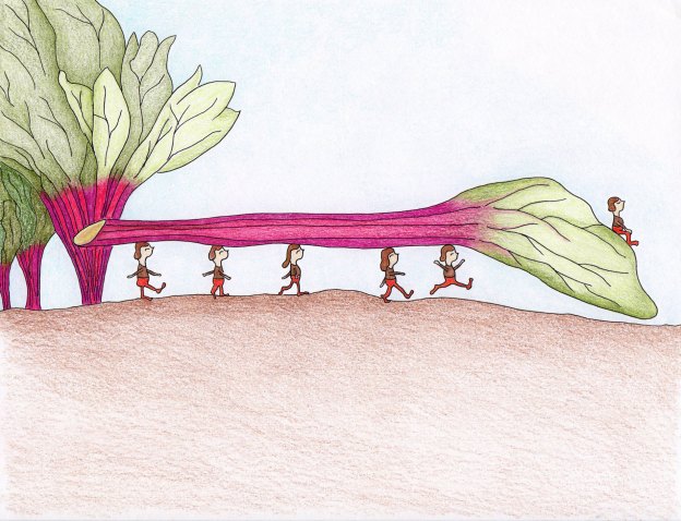 garden brownie elves illustration