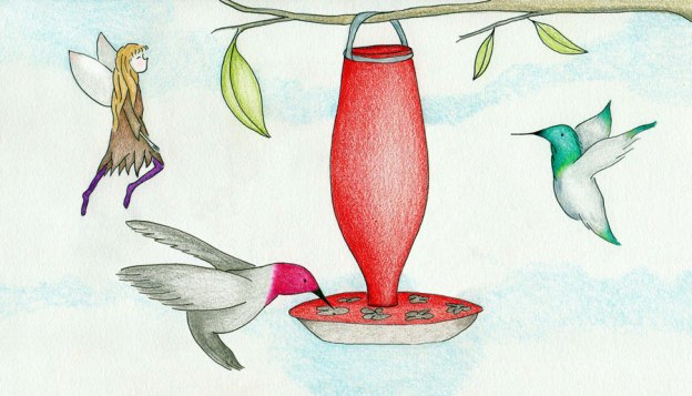 hummingbirds fairy